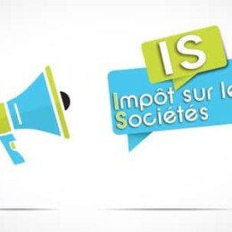 impot sur les societes business plan