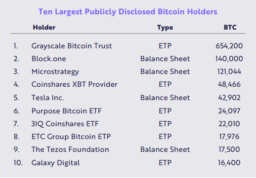 Ten largest publicly disclosed bitcoin holders