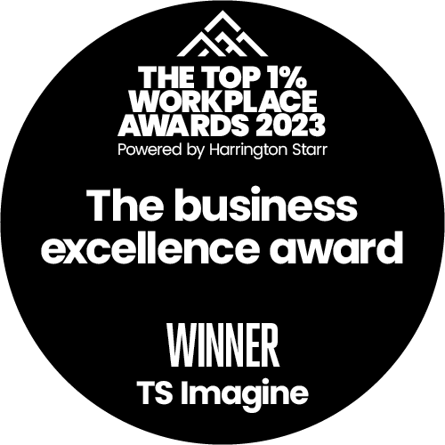 The business excellence award WINNER TS Imagine2